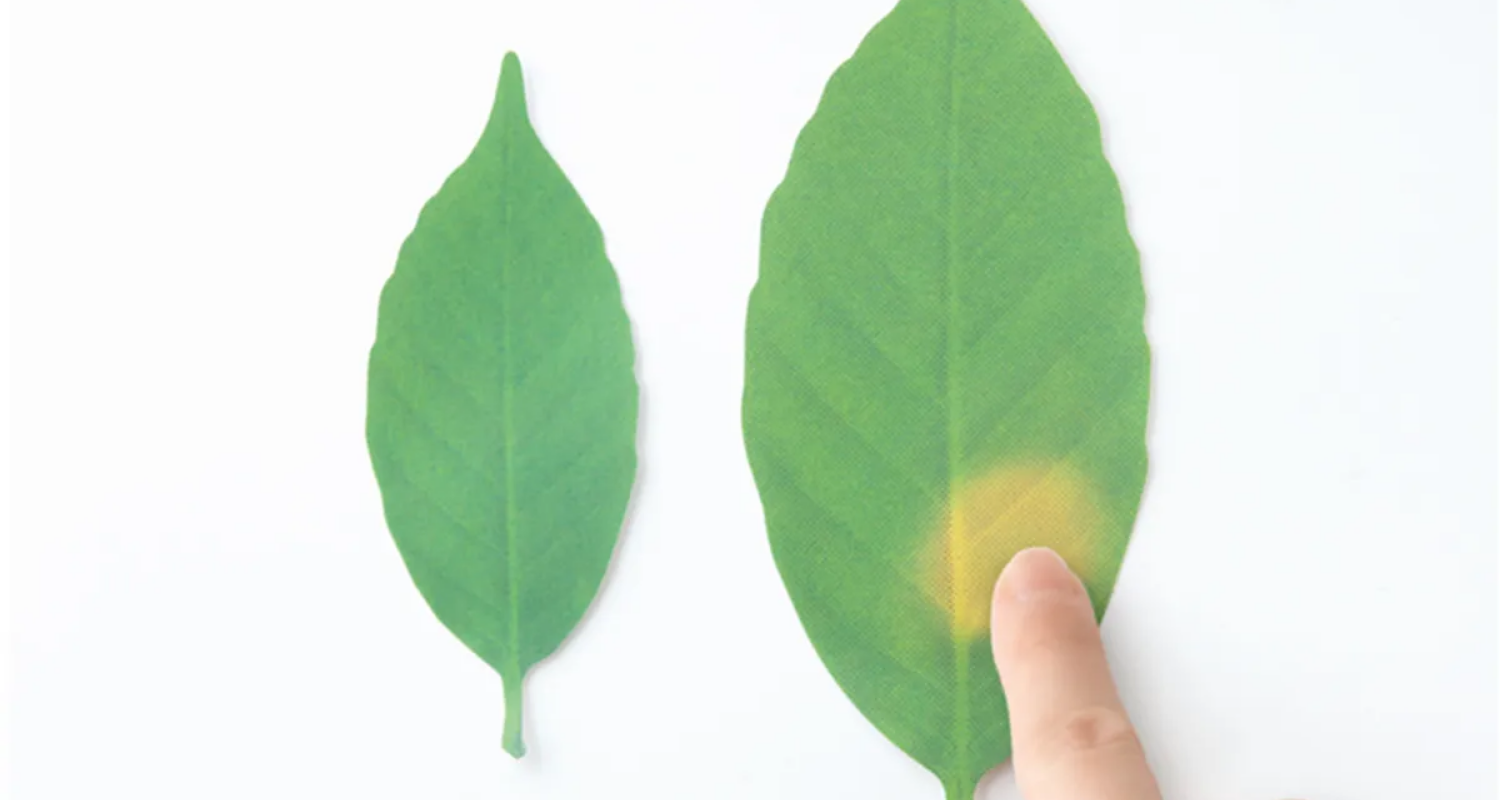 アッシュコンセプト株式会社 Leaf Thermometer