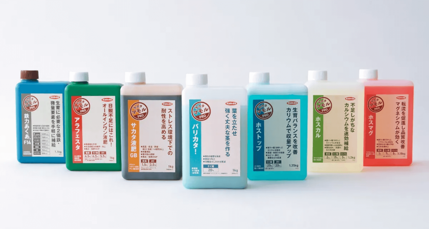 株式会社サカタのタネ サカタマモルシリーズ