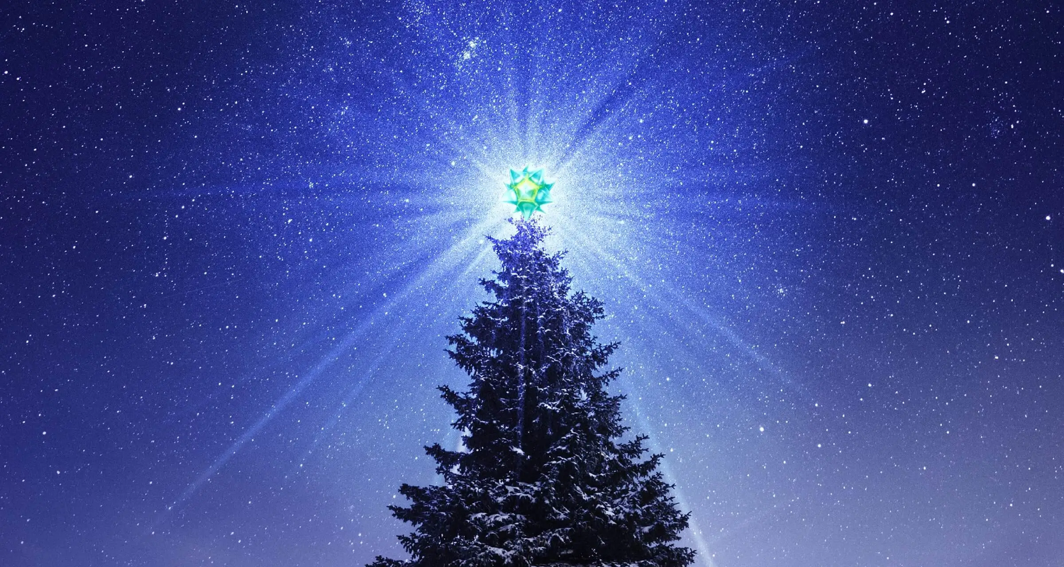 『空想果実』って何？