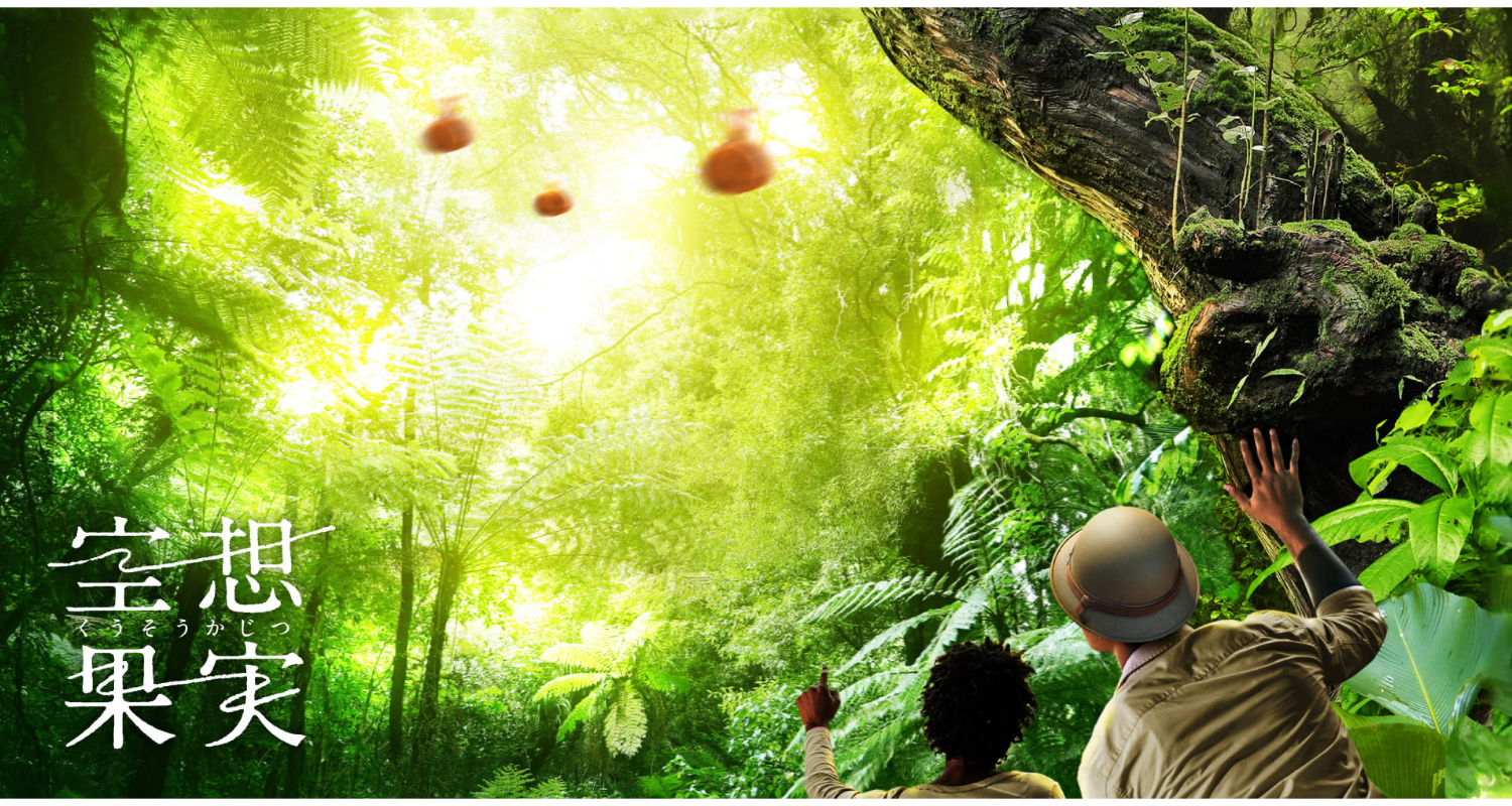 空想果実 ウチャチャの実