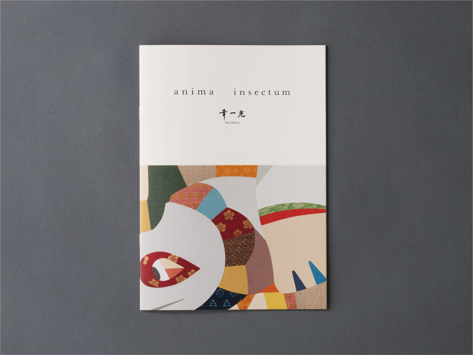 「anima insectum」パンフレット　エディトリアル パッケージデザイン 