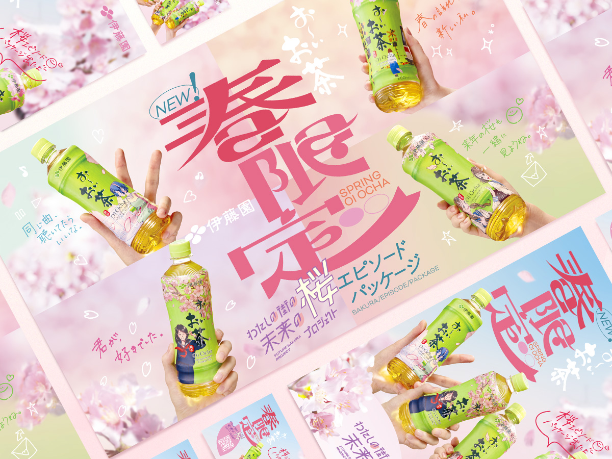 「お～いお茶」桜エピソードパッケージ	販促物デザイン パッケージデザイン 